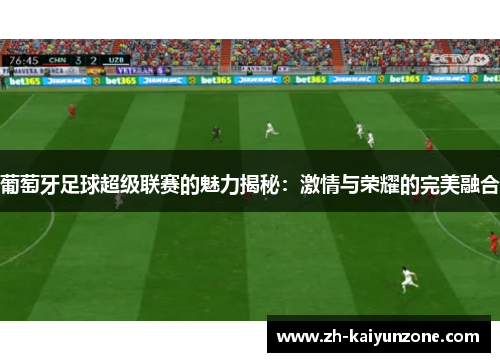 葡萄牙足球超级联赛的魅力揭秘：激情与荣耀的完美融合